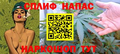 соль ск Новозыбков