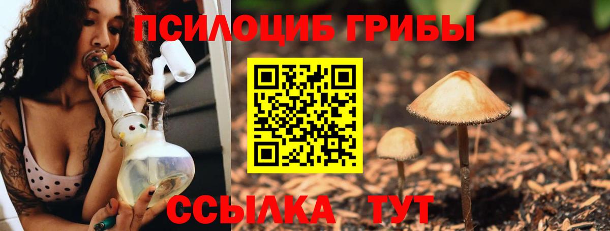 Псилоцибиновые грибы ЛСД  Псилоцибиновые грибы Magic Shrooms  Вход с VPN  сколько стоит  Находка 